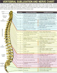 Charte chiropratique